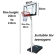 Kép 2/3 - Kosárlabda állvány SPARTAN TRANSPARENT JUNIOR-Sportsarok
