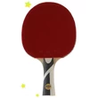 Kép 2/2 - Pingpongütő JOOLA GOLD COMPETITION- Sportsarok
