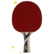 Kép 2/2 - Pingpongütő JOOLA GOLD COMPETITION- Sportsarok