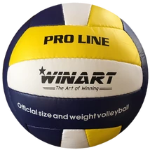 Röplabda WINART PRO LINE No.5