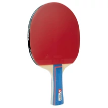 Pingpongütő JOOLA MATCH - SportSarok