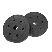 Súlytárcsa, vinyl 2x2,5 kg  S-SPORT 1666