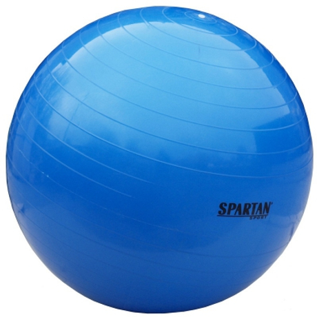 Gimnasztika labda, 55 cm SPARTAN - SportSarok