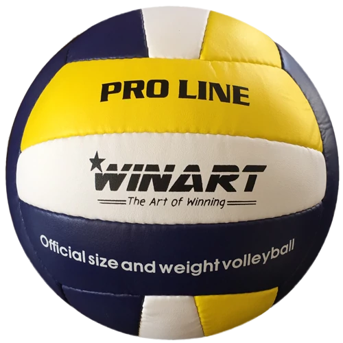 Röplabda WINART PRO LINE No.5