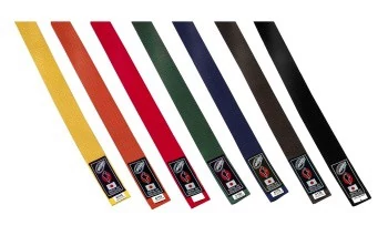 Judo / karate öv EFFEA 565